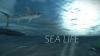 SEA LIFE SH5